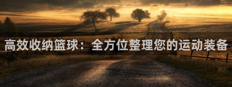征途国际是干嘛的公司:高效收纳篮球:全方位整理您的运动装备
