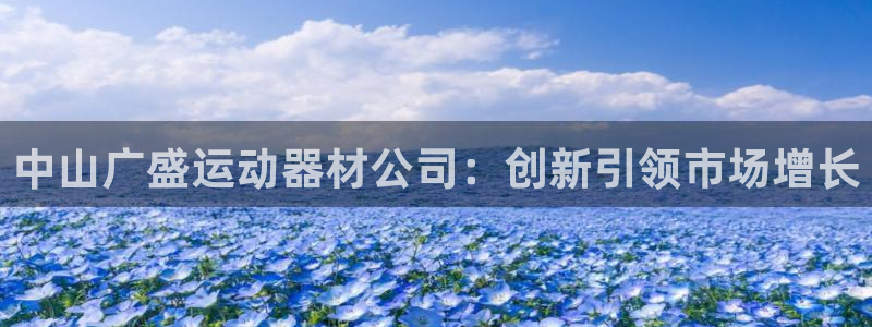 海南征途国际:中山广盛运动器材公司:创新引领市场增长